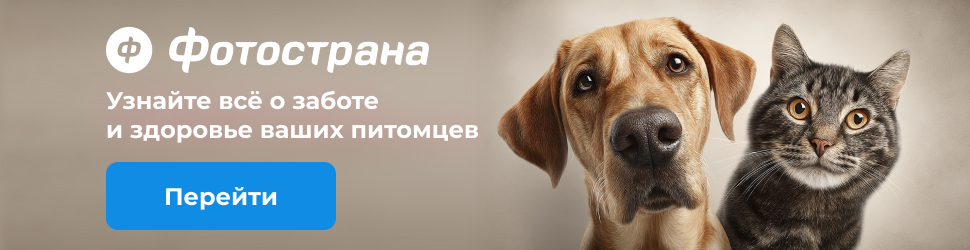 Фотострана